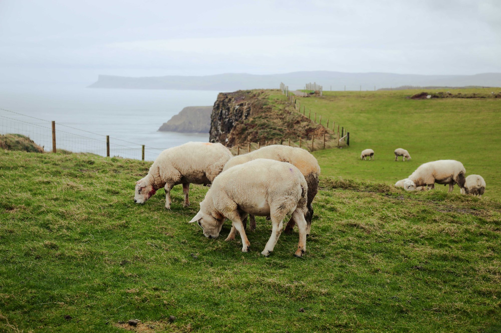 Causeway Coast, Northern Ireland